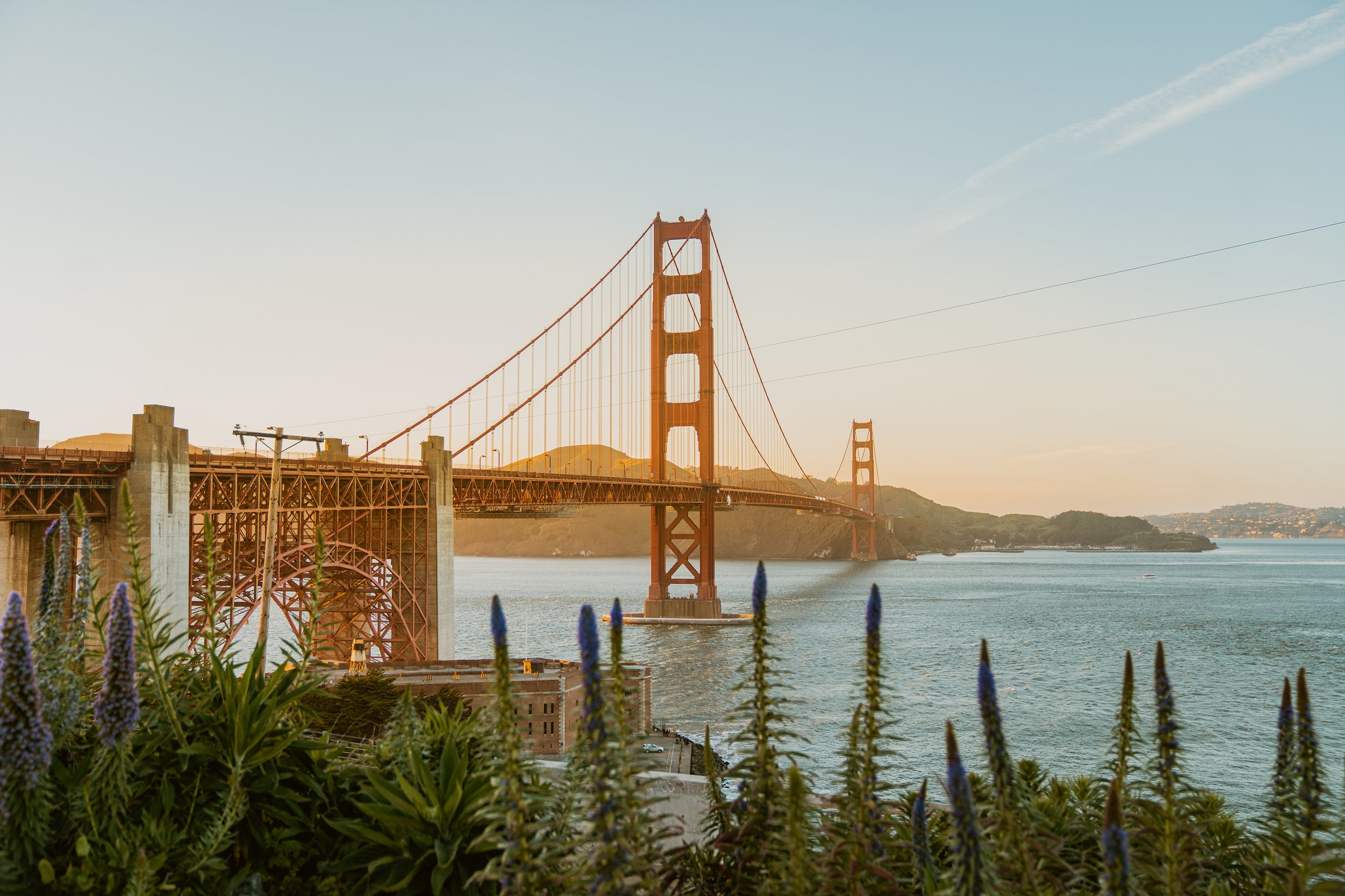 Why California Is the Perfect Backdrop for a Fine Art Wedding